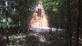 kampiranje in glamping v gozdu